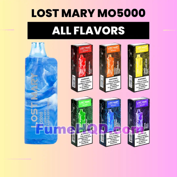 LOST MARY MO5000 Disposable Vape