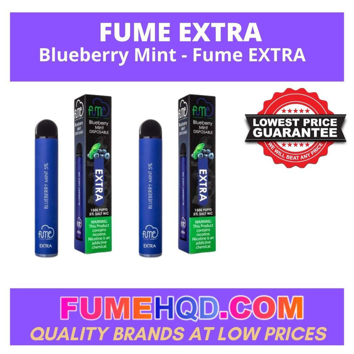 Blueberry Mint - Fume EXTRA