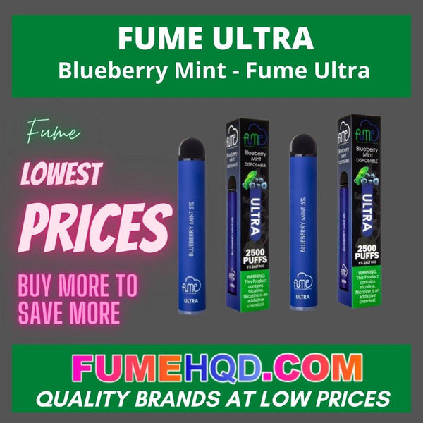 Blueberry Mint - Fume Ultra Disposable vape 