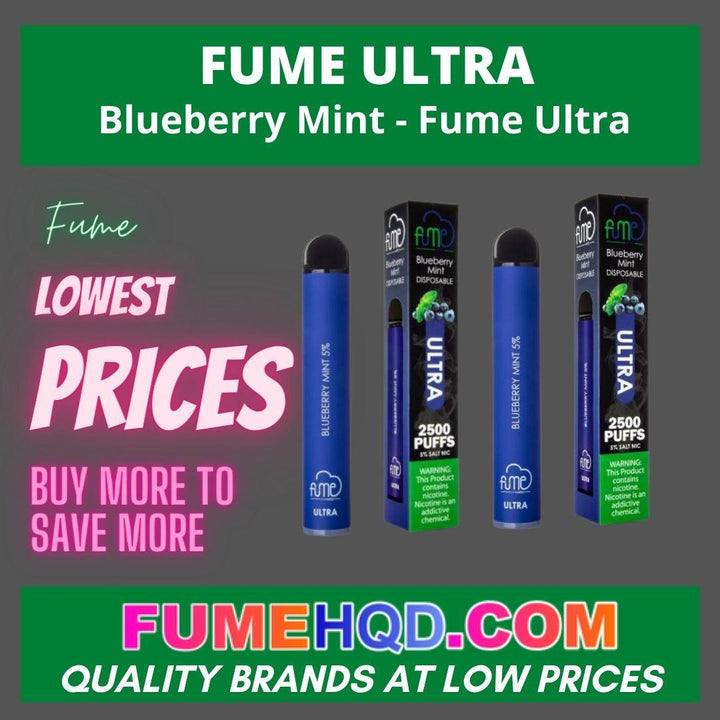 Blueberry Mint Fume 2500 puffs Vape30% OFF FUMEHQD.COM Blueberry Mint Fume 2500 puffs Vape30% OFF FUMEHQD.COM