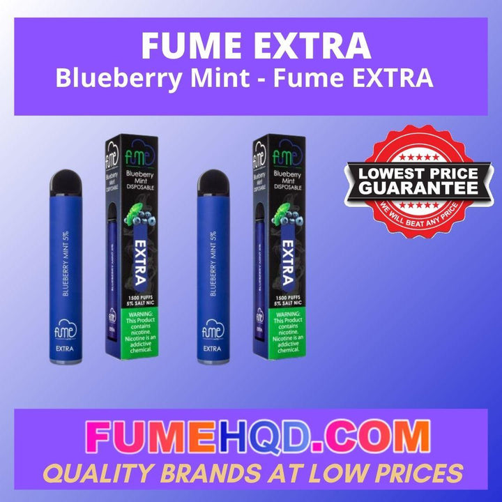 Fume EXTRA - Blueberry Mint