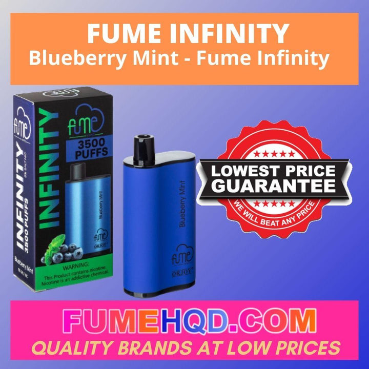 Fume Infinity Disposable - Blueberry Mint