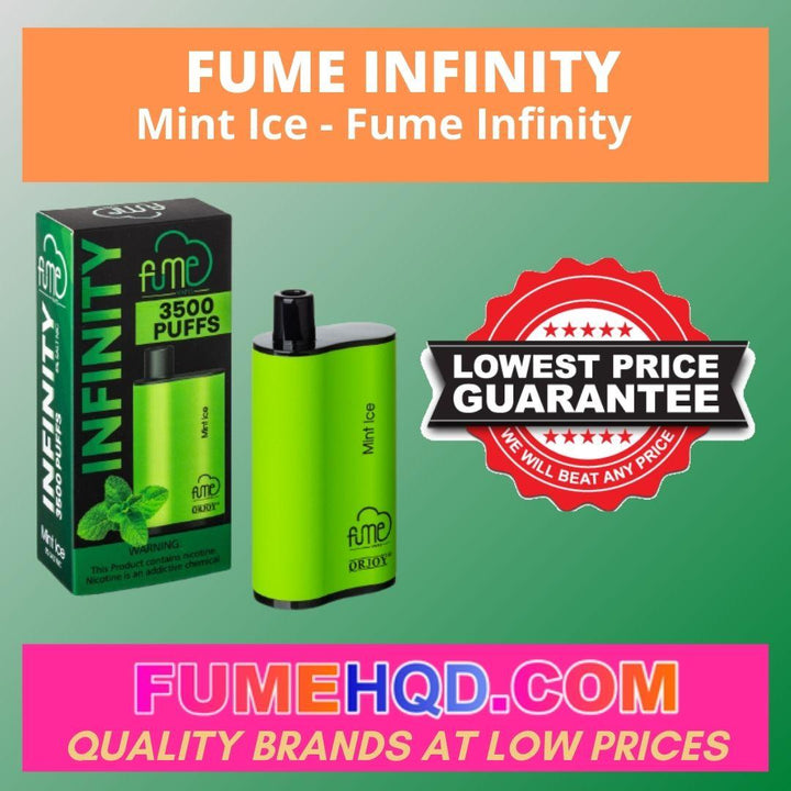Fume Infinity Disposable - Mint Ice